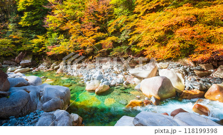 秋の阿寺渓谷 118199398