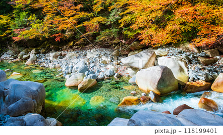 秋の阿寺渓谷 118199401