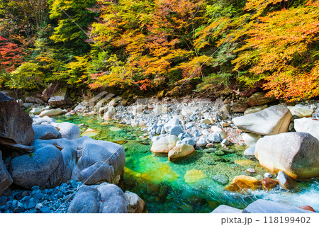 秋の阿寺渓谷 秋の阿寺渓谷 118199402
