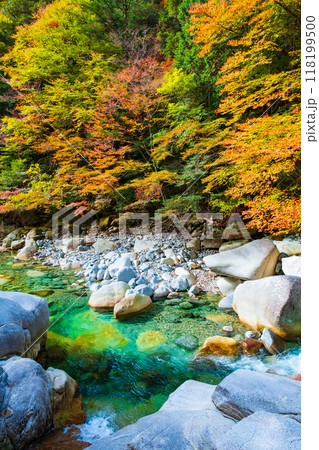 秋の阿寺渓谷 118199500