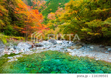 秋の阿寺渓谷 118199501