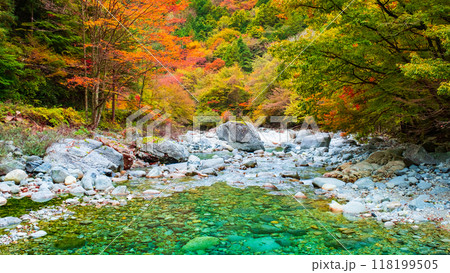 秋の阿寺渓谷 118199505