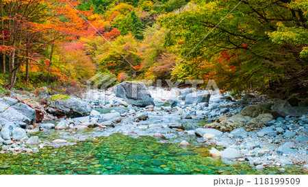 秋の阿寺渓谷 秋の阿寺渓谷 118199509