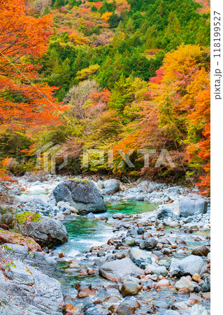 秋の阿寺渓谷 秋の阿寺渓谷 118199527