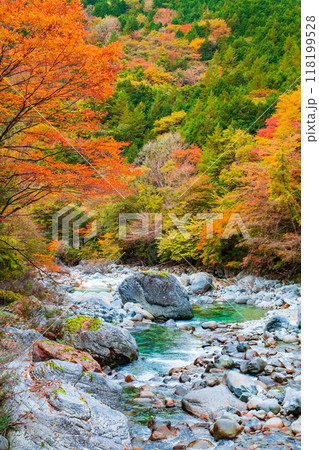 秋の阿寺渓谷 秋の阿寺渓谷 118199528