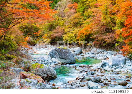 秋の阿寺渓谷 118199529