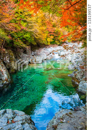 秋の阿寺渓谷 秋の阿寺渓谷 118199537