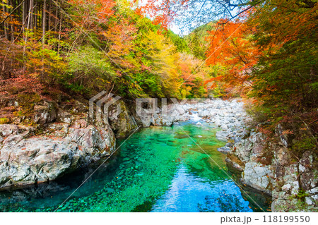 秋の阿寺渓谷 118199550