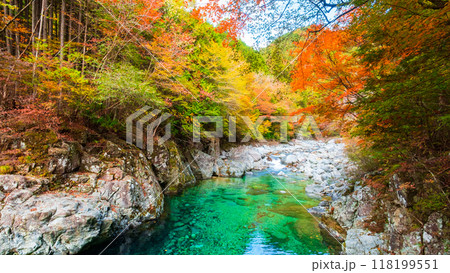 秋の阿寺渓谷 118199551