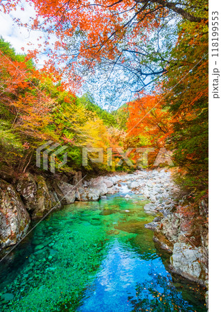 秋の阿寺渓谷 118199553