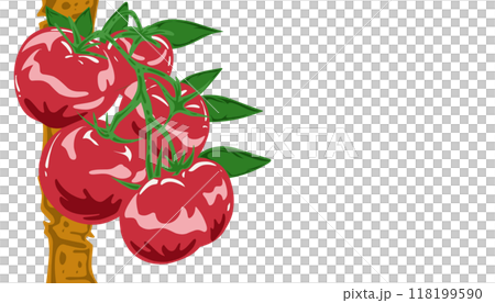 Background illustration of tomatoes 118199590