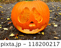 ハロウィンのカボチャ 118200217
