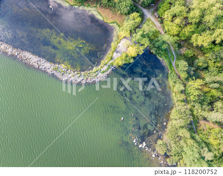 Aerial view of lake or river green shore with forest. Summer season. 118200752
