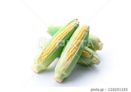 とうもろこし （ 白背景 ） 118201193