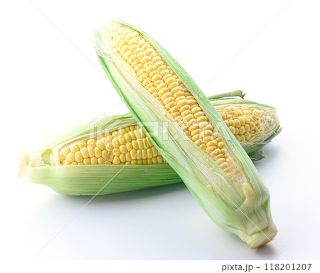 とうもろこし （ 白背景 ） 118201207