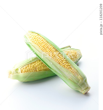 とうもろこし （ 白背景 ） 118201209