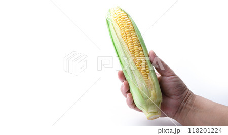 とうもろこし （ 白背景 ） 118201224
