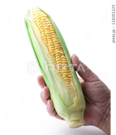 とうもろこし （ 白背景 ） 118201225