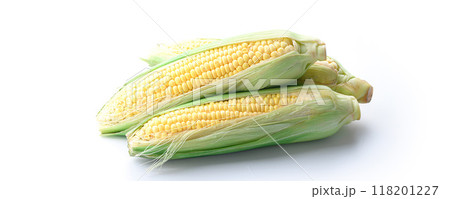 とうもろこし （ 白背景 ） 118201227