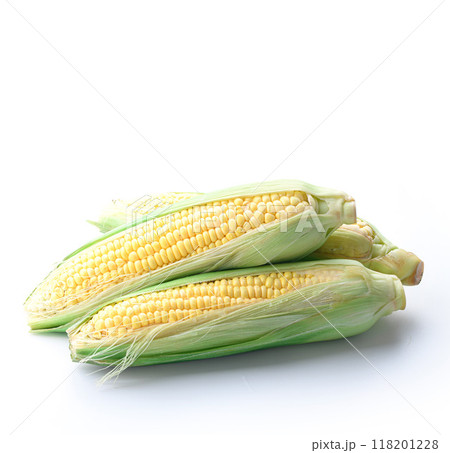 とうもろこし （ 白背景 ） 118201228