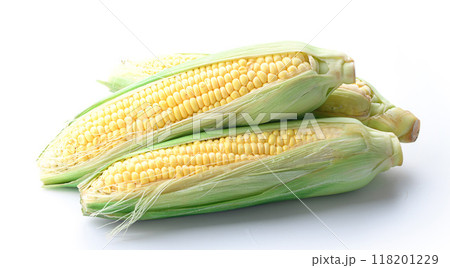 とうもろこし （ 白背景 ） 118201229