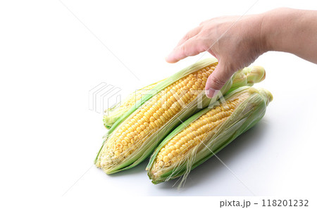 とうもろこし ( 白背景 ) とうもろこし ( 白背景 ) 118201232