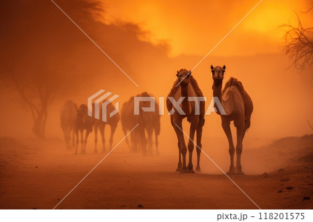 Expedition across the desert - majestic camel caravan with laden packs traversing vast stretches of arid sands, timeless depiction of nomadic life, trade routes under relentless sun. 118201575