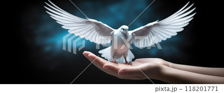 Celebration of International Day of Peace, striving for global unity, freedom from violence, harmony, urging nations, together to promote understanding, cooperation, peaceful resolution of disputes. Celebration of International Day of Peace, striving for global unity, freedom from violence, harmony, urging nations, together to promote understanding, cooperation, peaceful resolution of disputes. 118201771