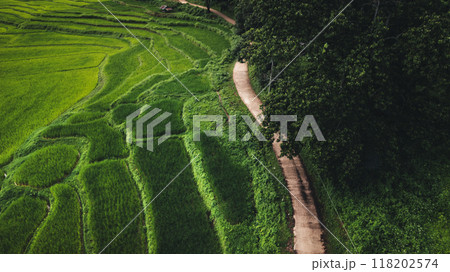 Aerial view of road,Road into a rural village by the rice fields 118202574