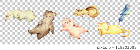 眠る動物たちのセット　手描き色鉛筆画 118202685