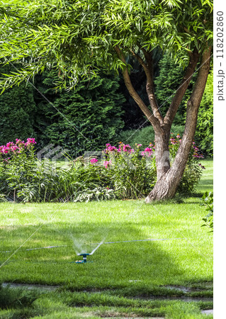 Backyard design elements 118202860