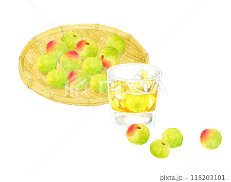 グラスに入った梅酒のロックと青梅のセット　手描き水彩イラスト素材 118203101