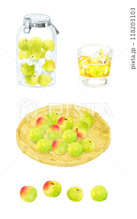グラスに入った梅酒のロック・梅シロップ・青梅のセット 手描き水彩イラスト素材 グラスに入った梅酒のロック・梅シロップ・青梅のセット 手描き水彩イラスト素材 118203103
