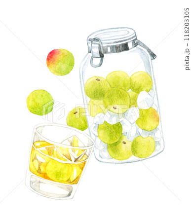 梅シロップのガラス容器と梅酒・梅ジュース　手描き水彩イラスト素材 118203105