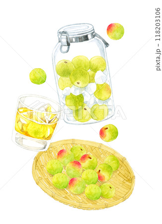 グラスに入った梅酒のロック・梅シロップ・青梅のセット　手描き水彩イラスト素材 118203106