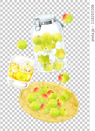 グラスに入った梅酒のロック・梅シロップ・青梅のセット　手描き水彩イラスト素材 118203106