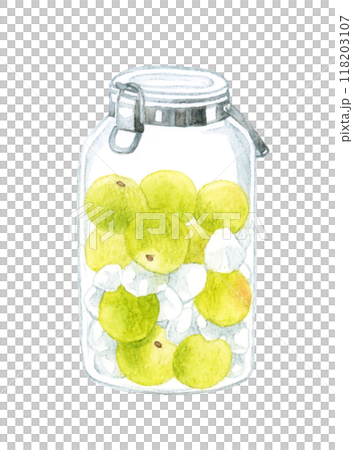 Unripe plums and rock sugar (plum syrup) in a glass bottle Hand-drawn watercolor illustration 118203107