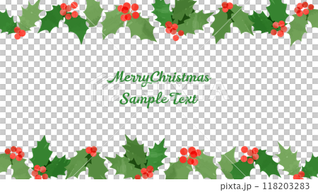 聖誕冬青手繪圖向量圖 118203283