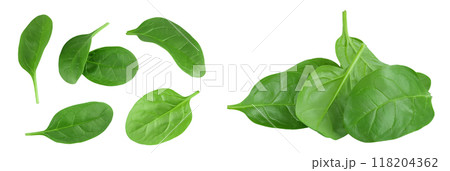 Baby spinach leaves isolated on white background. Top view. Flat lay Baby spinach leaves isolated on white background. Top view. Flat lay 118204362