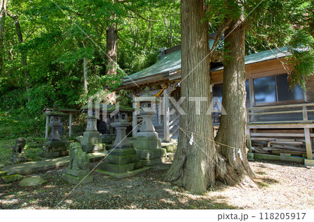 夫婦杉と天然杉 太子神社 秋田市 夫婦杉と天然杉 太子神社 秋田市 118205917