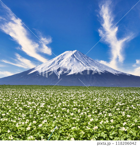北海道の田園風景と富士山合成 118206042
