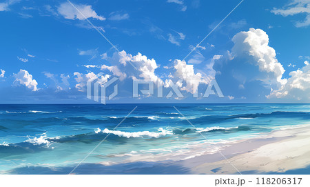 美しい遠浅の海岸と夏空 美しい遠浅の海岸と夏空 118206317
