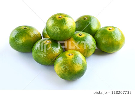 みかん（日南一号） 118207735