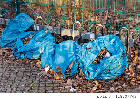 Pile of dry yellow orange fallen leaves collected in big torn blue plastic bags on paved urban path. Autumn or spring foliage removal in city street or park. Natural waste cleaning disposal 118207745