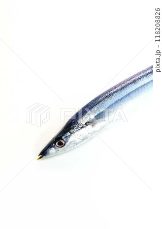 サンマ　秋刀魚　さんま 118208826