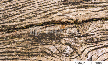 Wood Textured Background 118208836