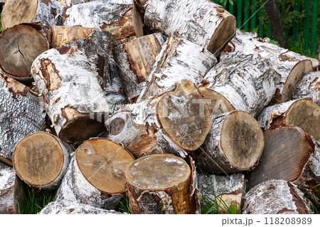 A large pile of logs that have white spots scattered across them 118208989