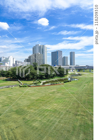 快晴の新二子橋から　多摩川河川敷の兵庫島公園（東京都世田谷区） 118209310