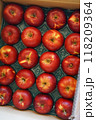 真っ赤な紅玉のりんご 118209364