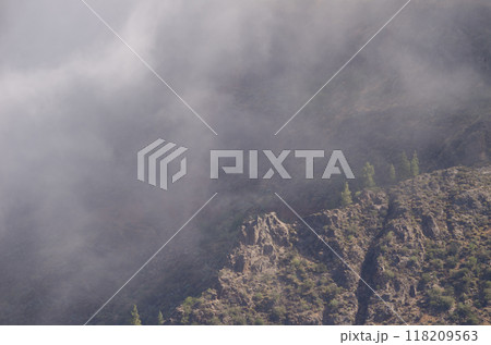 Landscape in the fog. 118209563